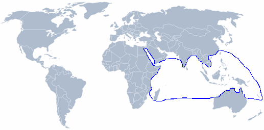 wereldkaart